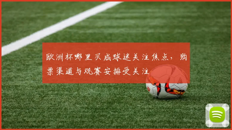 欧洲杯哪里买成球迷关注焦点,购票渠道与观赛安排受关注