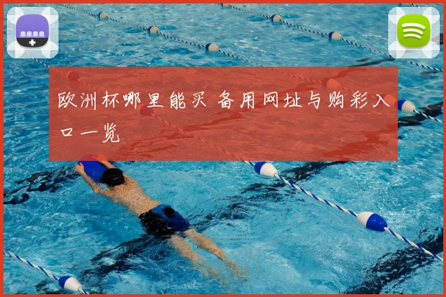 欧洲杯哪里能买 备用网址与购彩入口一览