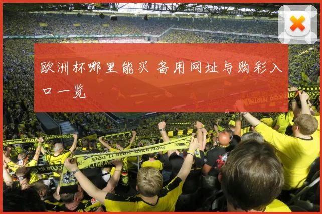 欧洲杯哪里能买 备用网址与购彩入口一览
