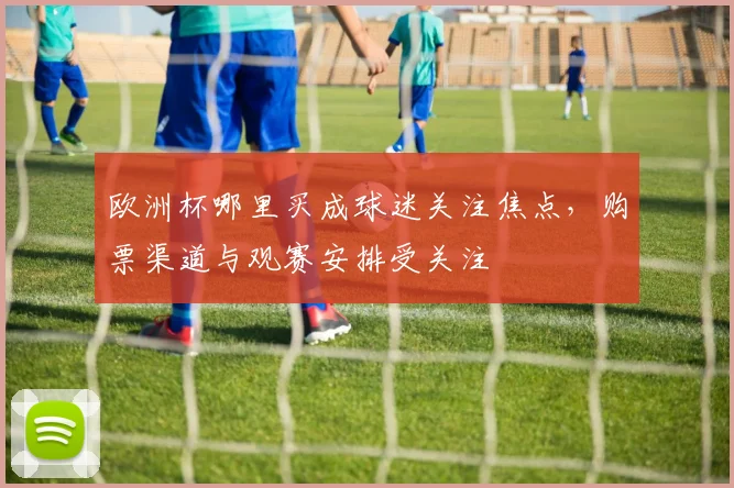 欧洲杯哪里买成球迷关注焦点,购票渠道与观赛安排受关注