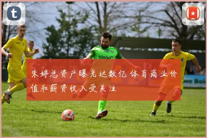 朱婷总资产曝光达数亿 体育商业价值和薪资收入受关注