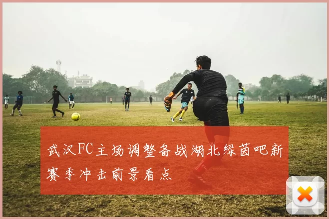 武汉FC主场调整备战湖北绿茵吧新赛季冲击前景看点