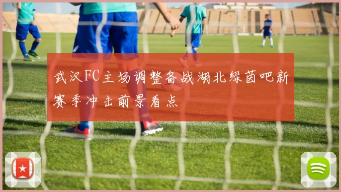 武汉FC主场调整备战湖北绿茵吧新赛季冲击前景看点