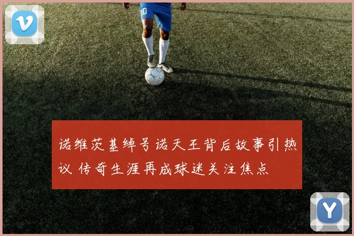 诺维茨基绰号诺天王背后故事引热议 传奇生涯再成球迷关注焦点