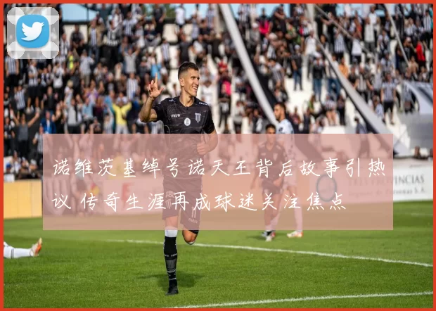 诺维茨基绰号诺天王背后故事引热议 传奇生涯再成球迷关注焦点