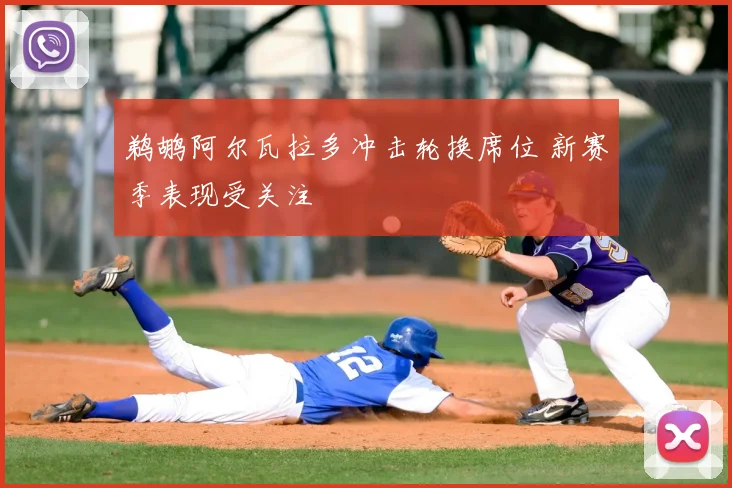 鹈鹕阿尔瓦拉多冲击轮换席位 新赛季表现受关注