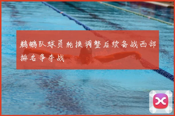 鹈鹕队球员轮换调整后续备战西部排名争夺战