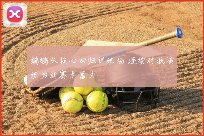 鹈鹕队核心回归训练场 连续对抗演练为新赛季蓄力