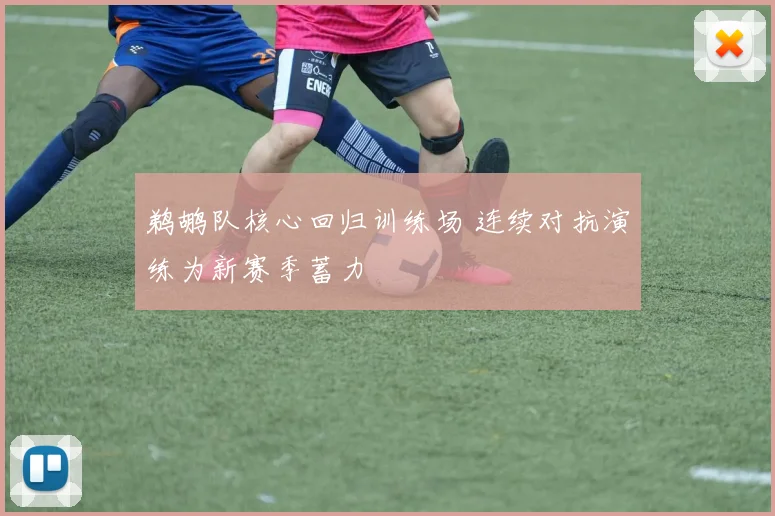 鹈鹕队核心回归训练场 连续对抗演练为新赛季蓄力