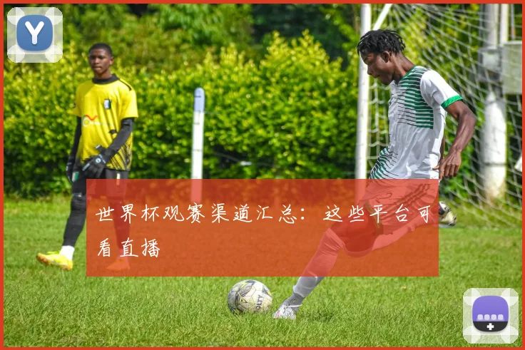 世界杯观赛渠道汇总:这些平台可看直播