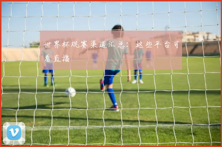 世界杯观赛渠道汇总：这些平台可看直播