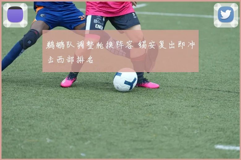 鹈鹕队调整轮换阵容 锡安复出即冲击西部排名