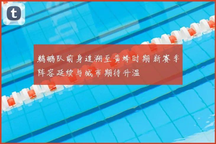 鹈鹕队前身追溯至黄蜂时期 新赛季阵容延续与城市期待升温
