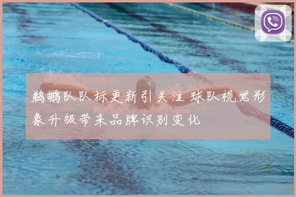 鹈鹕队队标更新引关注 球队视觉形象升级带来品牌识别变化