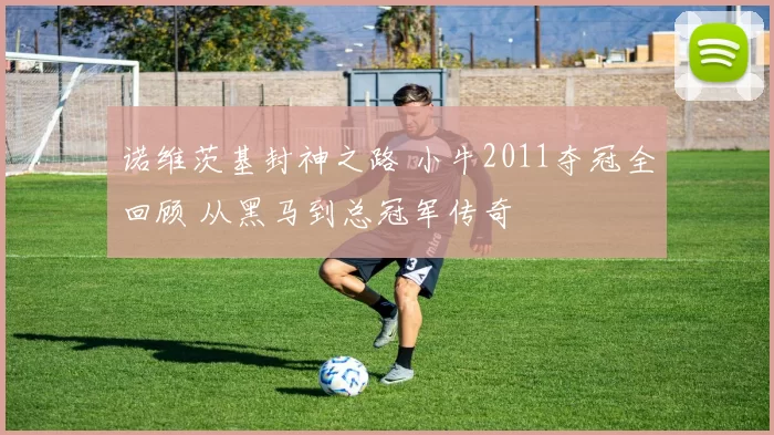 诺维茨基封神之路 小牛2011夺冠全回顾 从黑马到总冠军传奇